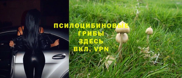 шишки Алексин