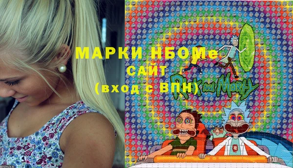 шишки Алексин