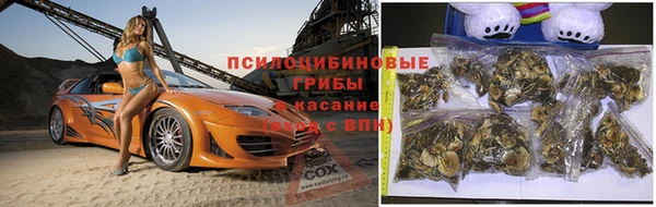 МДМА Алексеевка