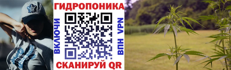 где купить наркотик  Новопавловск  Бошки Шишки ГИДРОПОН 